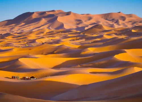 Merzouga Desert: An Epic Adventure in Morocco 2024