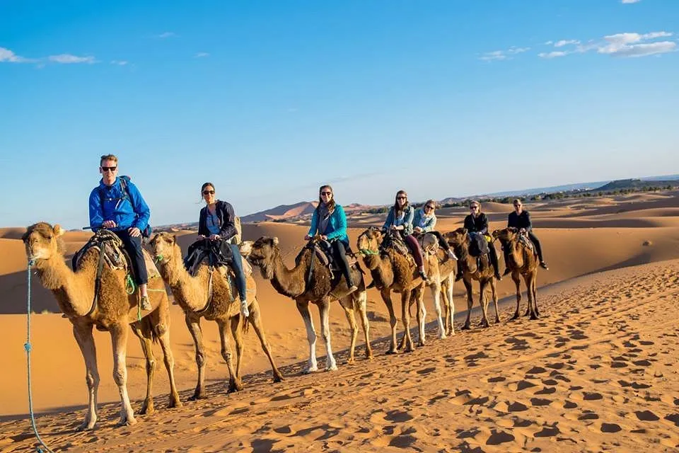 Camel trekking experience in Marrakech Desert Tours, showcasing the adventure and beauty of desert landscapes on your ultimate Moroccan adventure.