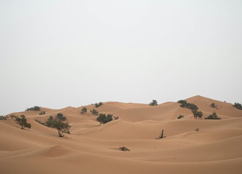 Best Berber tour 2 Day from Marrakesh to zagora (4)